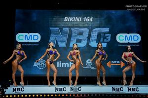 BIKINI 164